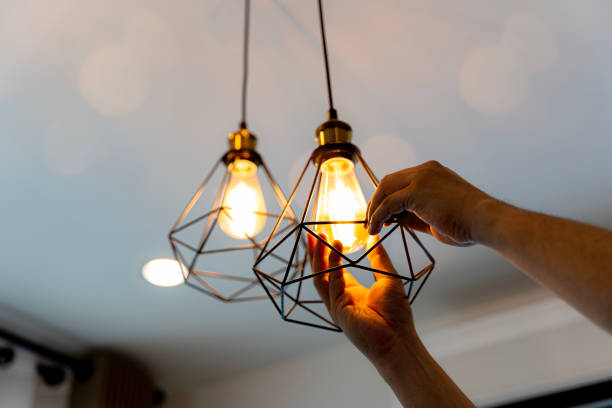 Best Electrical Upgrades for Homes  in Catawba, SC